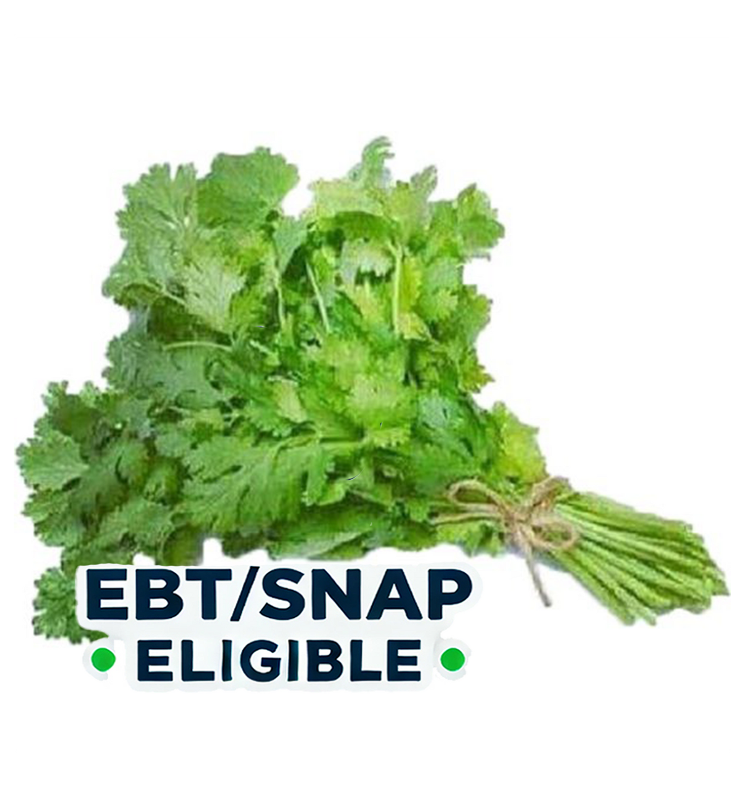 Cilantro per bundle