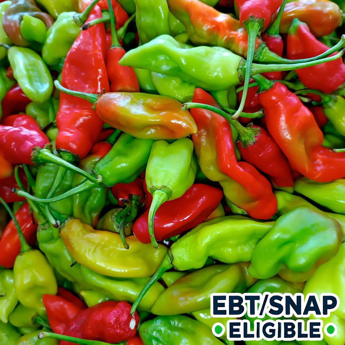 SNAP/EBT Produce