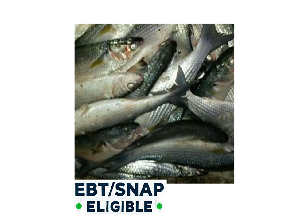 Guyana Mullet (Cut Up) - (2lb Pack)