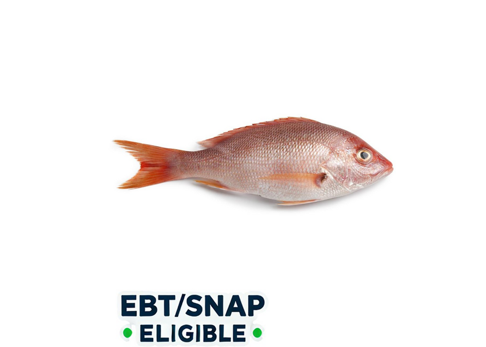 Red Snapper - (2lb Pack)