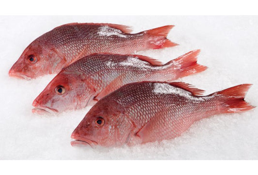 Red Snapper - (2lb Pack)